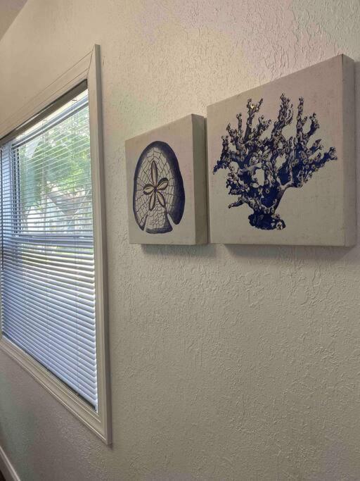 Contemporary 1-Bedroom Private Bungalow Walk To Armature & Riverwalk Tampa Exteriér fotografie